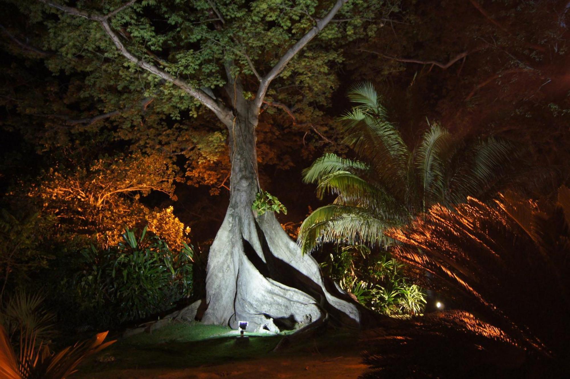 Llantrissant Beachcliff Villa Negril Dış mekan fotoğraf